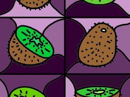 Kiwi Coloring Printable Page